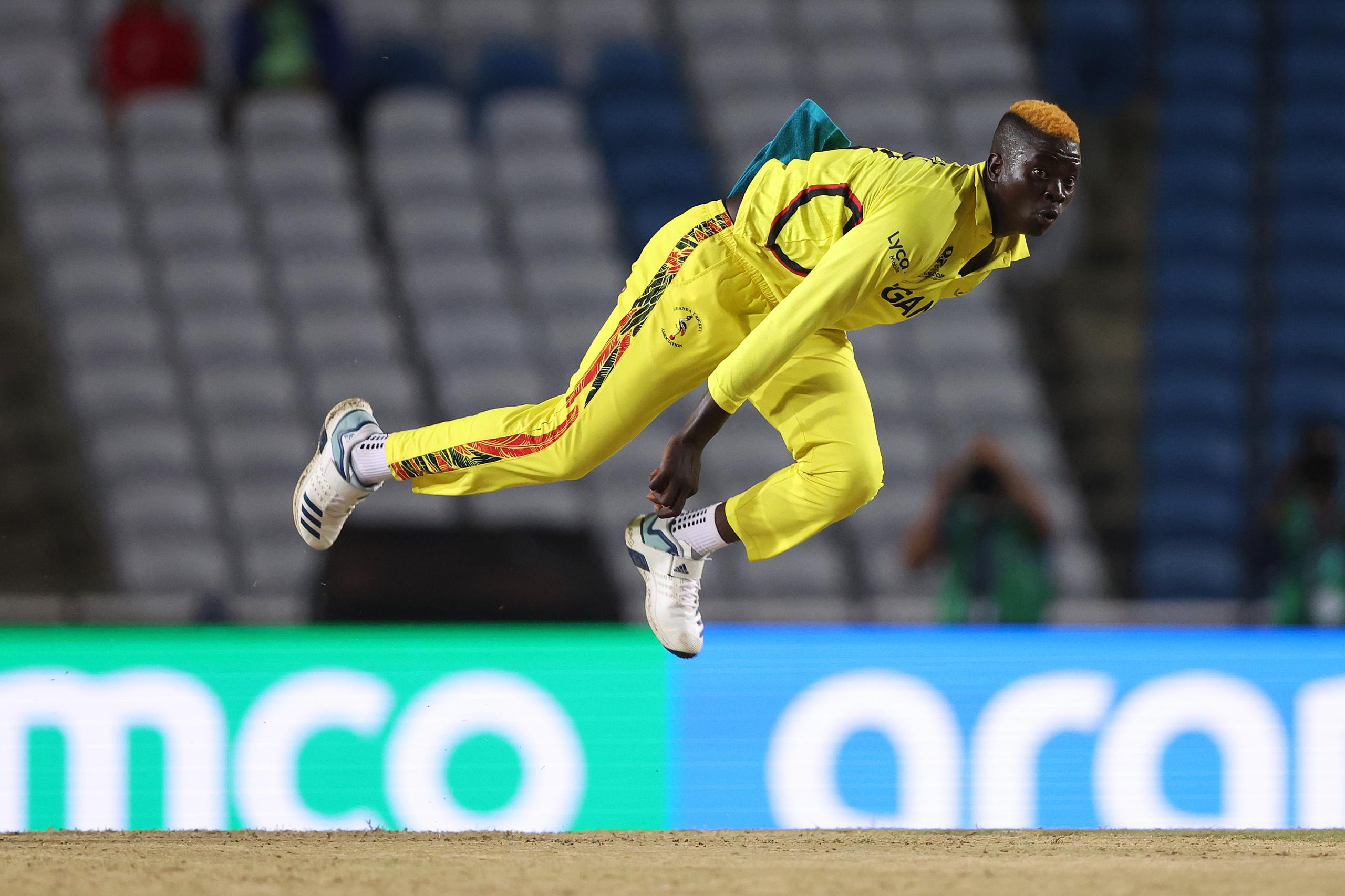 Cricket Cranes no match for Black Caps in final T20 World Cup game
