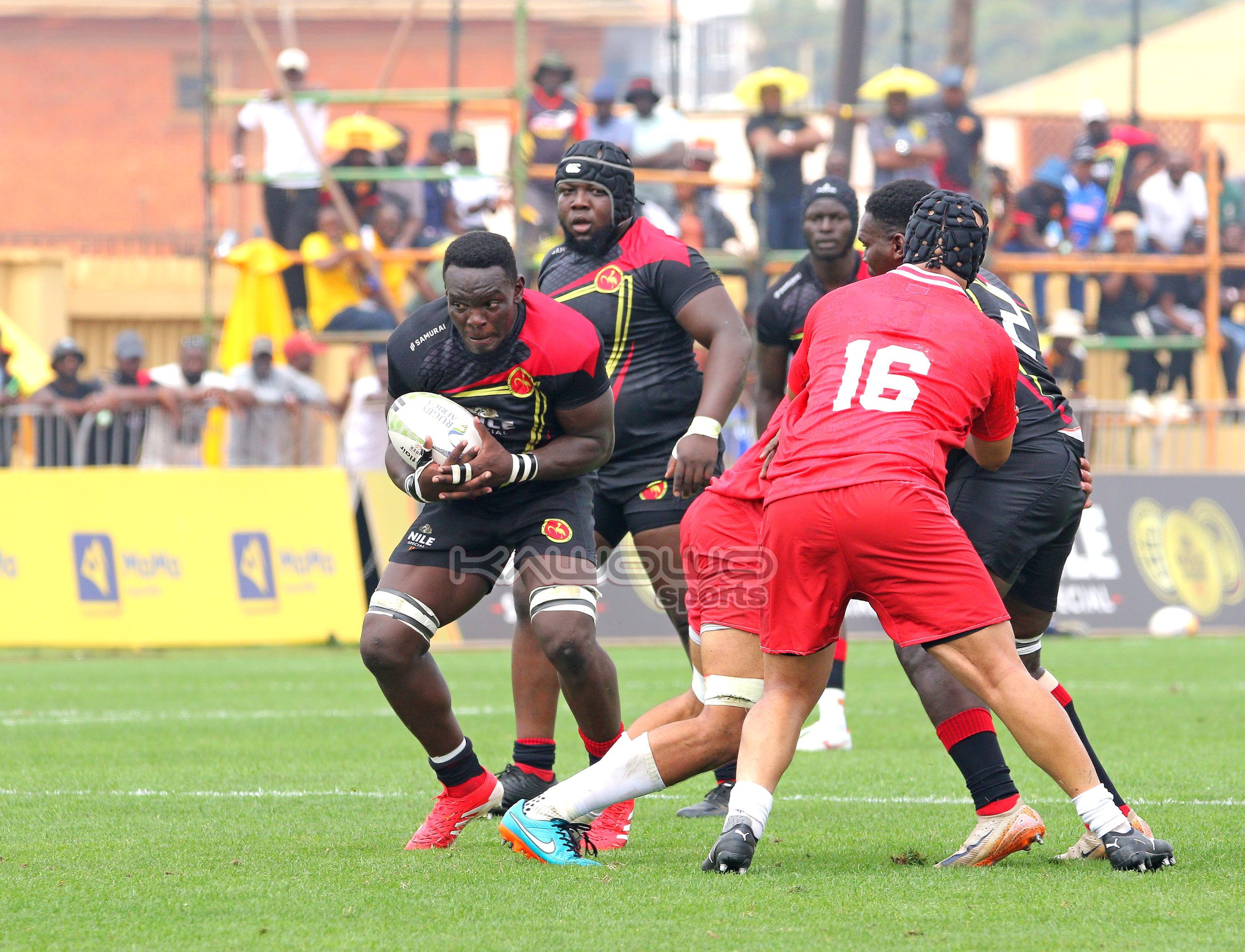 Underwhelming Rugby Cranes in Relegation Battle on home turf