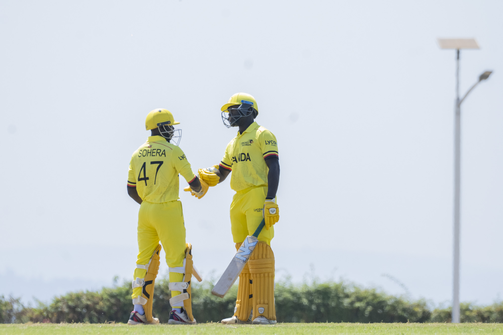 Double delight for Baby Cricket Cranes as they secure promotion and remain unbeaten