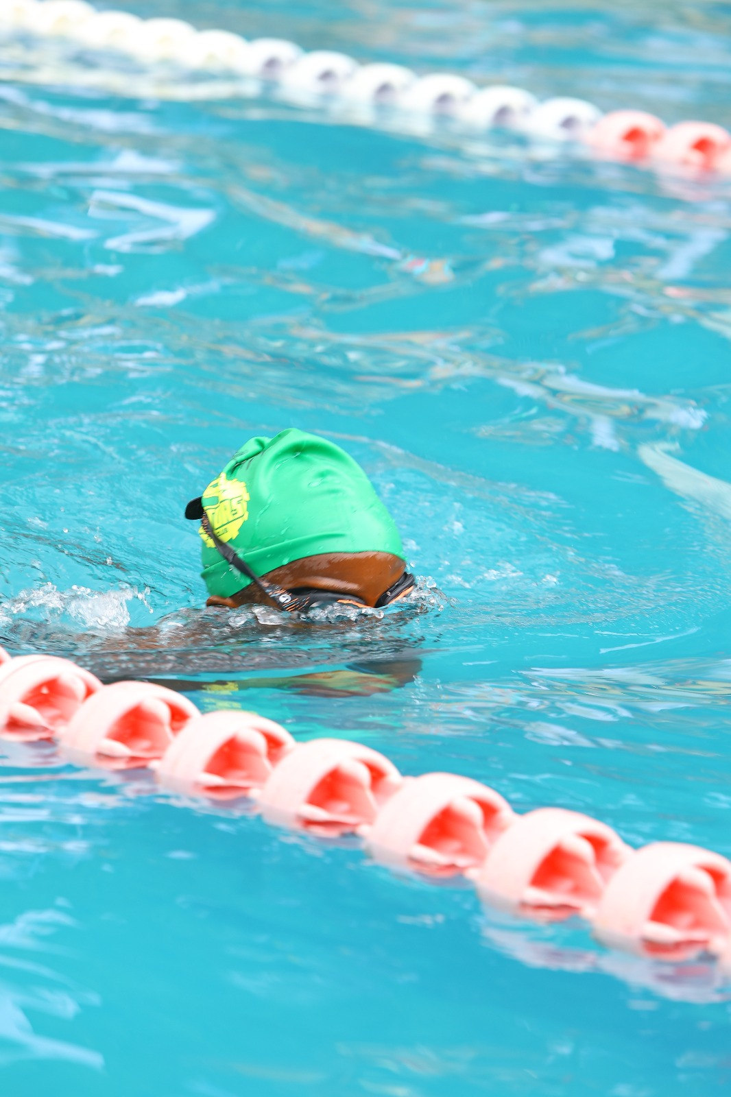 Gators Gala gets off to a flying start as Swimmers battle for glory