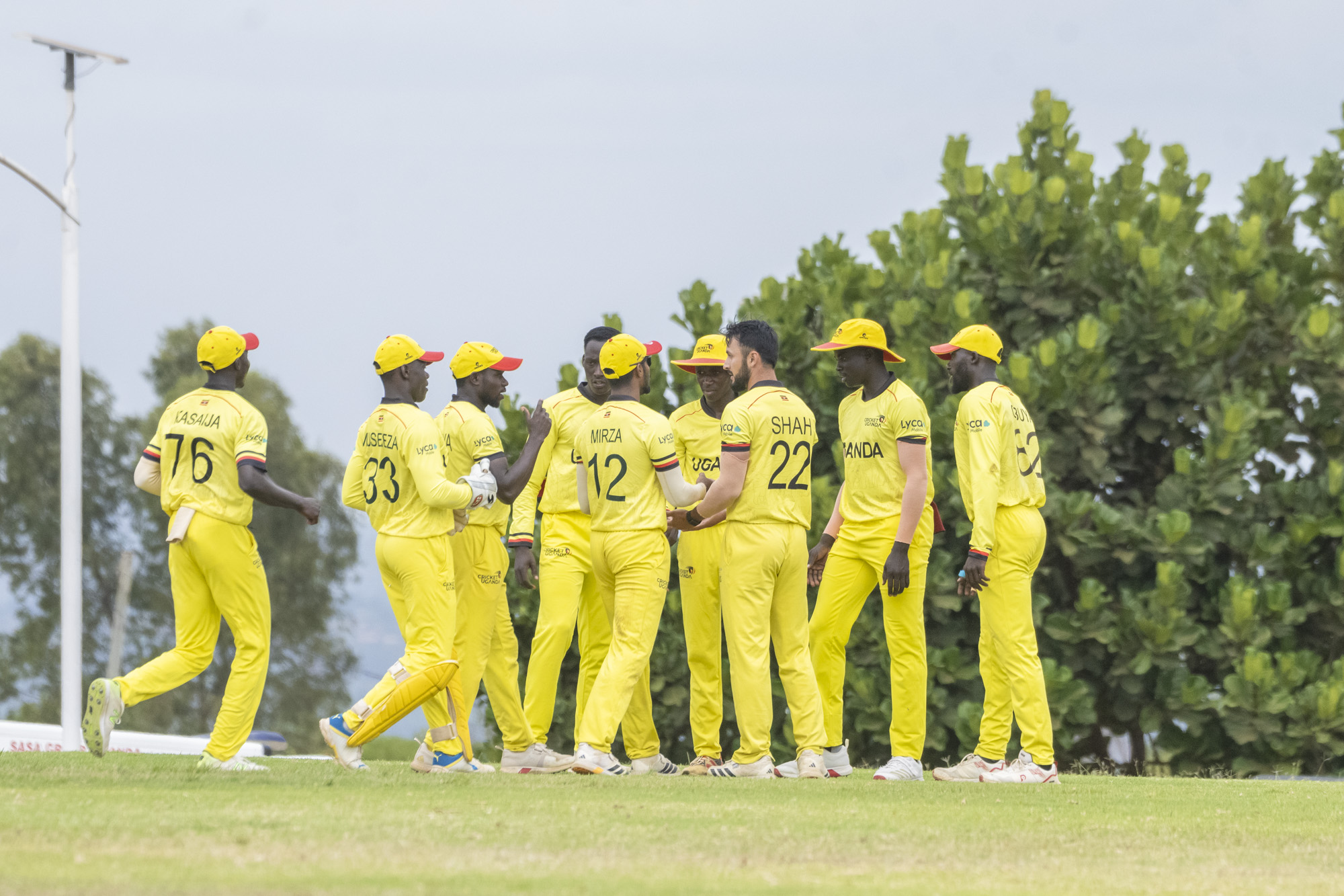 Cricket Cranes: From second-round surge to Final heartbreak