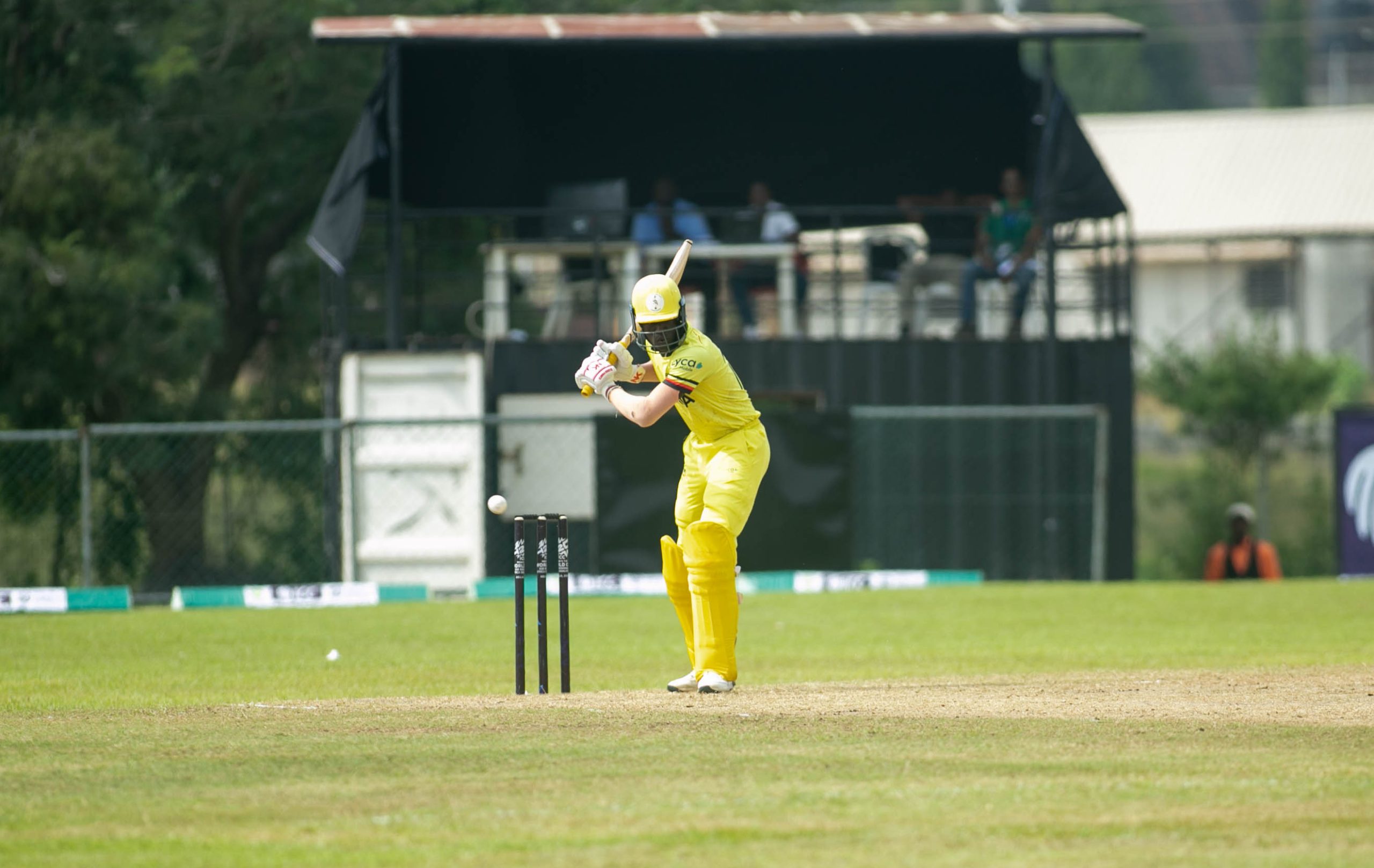 Olipa: We are just getting started